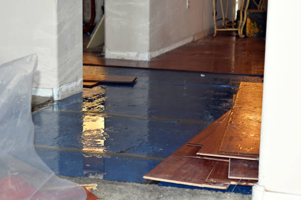 Professional Flood Cleanup technician working in Buckland, OH